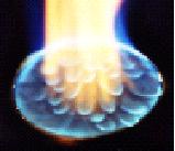 Cells on the flame near net